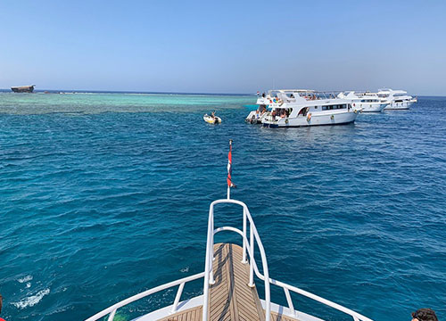 Red Sea Dinner Cruise with Entertainment Shows