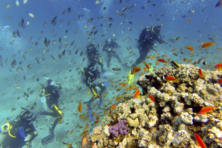 Advanced Open Water Diving Course in Hurghada
